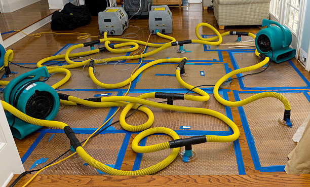Professional Basement Flood Cleanup technician working in Ilwaco, WA